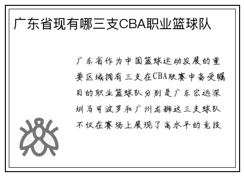 广东省现有哪三支CBA职业篮球队